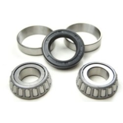 Bearing kit for Mini hubs